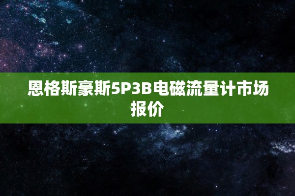 恩格斯豪斯5P3B电磁流量计市场报价