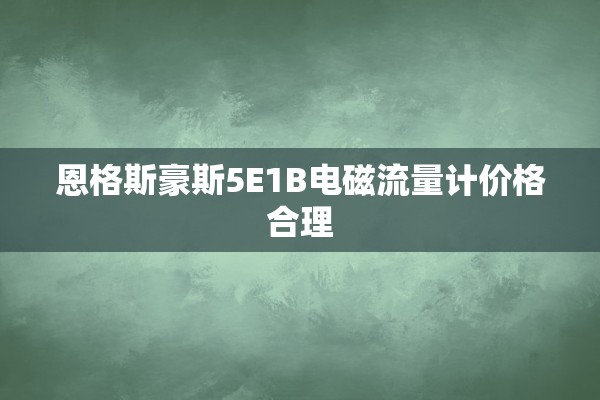 恩格斯豪斯5E1B电磁流量计价格合理