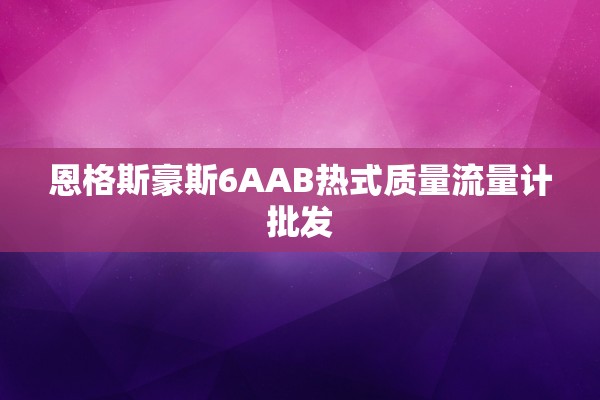 恩格斯豪斯6AAB热式质量流量计批发