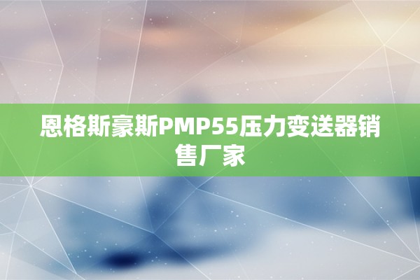 恩格斯豪斯PMP55压力变送器销售厂家