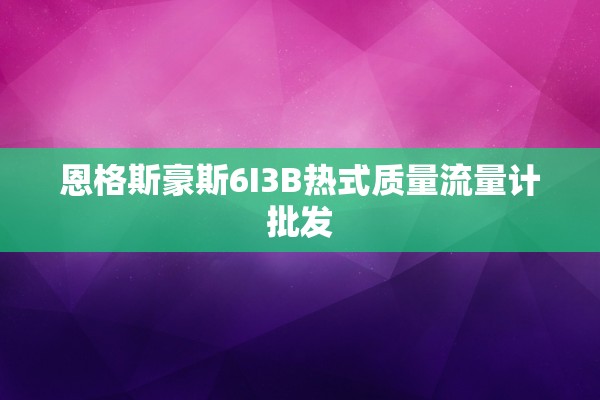 恩格斯豪斯6I3B热式质量流量计批发