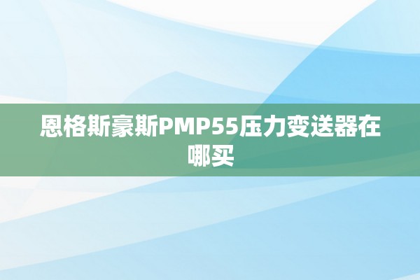 恩格斯豪斯PMP55压力变送器在哪买
