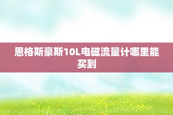恩格斯豪斯10L电磁流量计哪里能买到