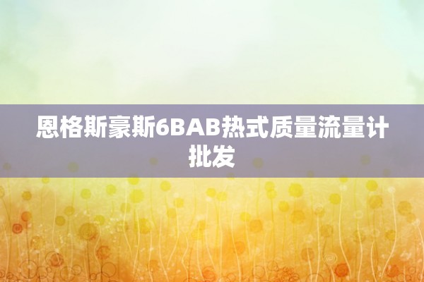 恩格斯豪斯6BAB热式质量流量计批发