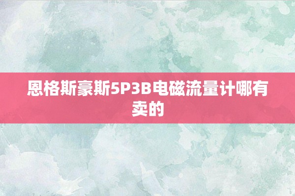 恩格斯豪斯5P3B电磁流量计哪有卖的