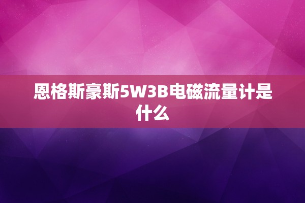 恩格斯豪斯5W3B电磁流量计是什么
