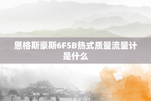 恩格斯豪斯6F5B热式质量流量计是什么