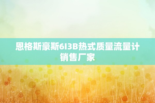 恩格斯豪斯6I3B热式质量流量计销售厂家