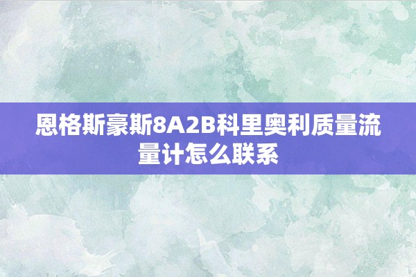恩格斯豪斯8A2B科里奥利质量流量计怎么联系