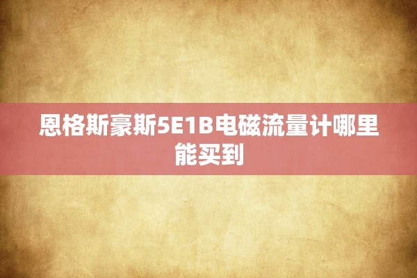 恩格斯豪斯5E1B电磁流量计哪里能买到
