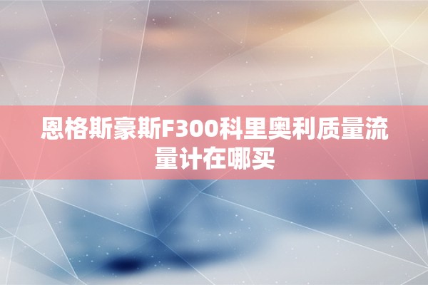 恩格斯豪斯F300科里奥利质量流量计在哪买