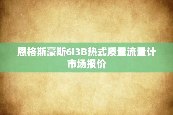 恩格斯豪斯6I3B热式质量流量计市场报价