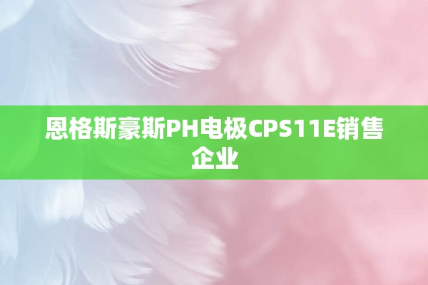 恩格斯豪斯PH电极CPS11E销售企业