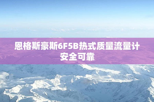 恩格斯豪斯6F5B热式质量流量计安全可靠