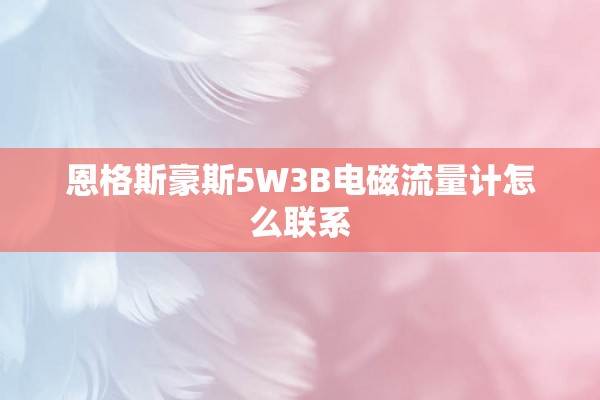 恩格斯豪斯5W3B电磁流量计怎么联系