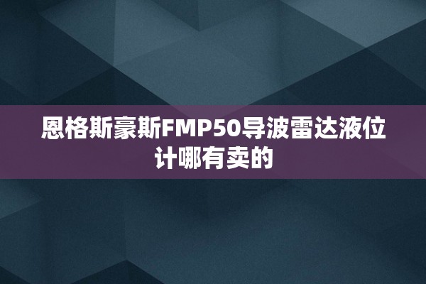 恩格斯豪斯FMP50导波雷达液位计哪有卖的