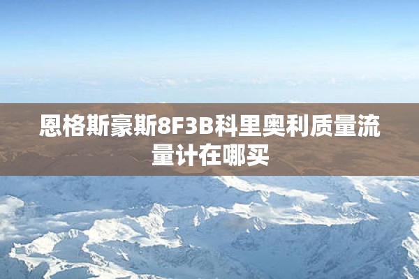 恩格斯豪斯8F3B科里奥利质量流量计在哪买