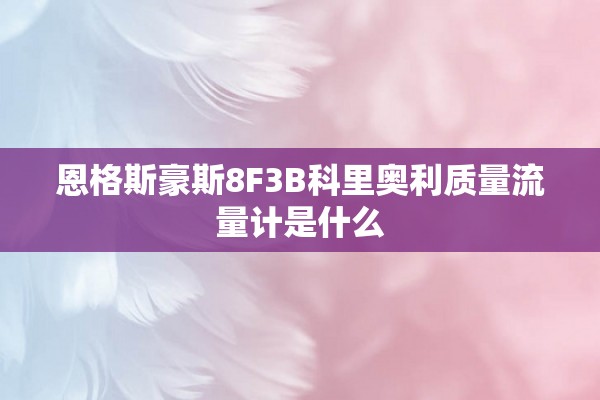 恩格斯豪斯8F3B科里奥利质量流量计是什么