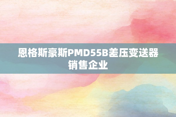 恩格斯豪斯PMD55B差压变送器销售企业