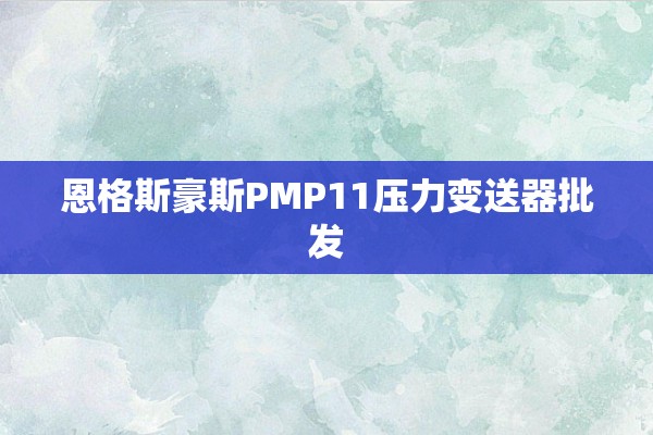 恩格斯豪斯PMP11压力变送器批发