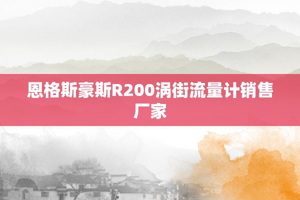 恩格斯豪斯R200涡街流量计销售厂家