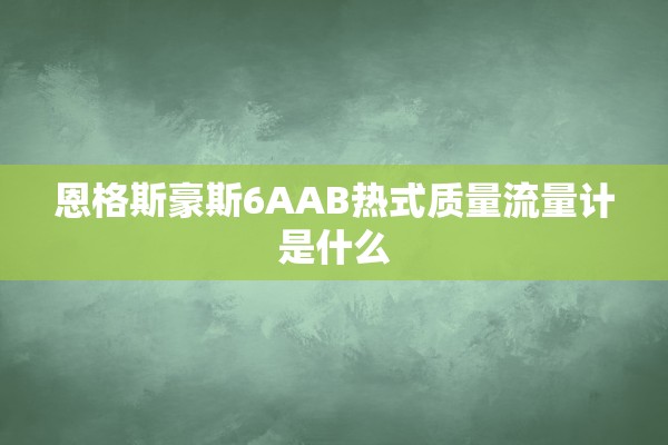 恩格斯豪斯6AAB热式质量流量计是什么