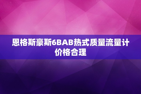恩格斯豪斯6BAB热式质量流量计价格合理