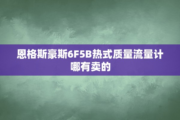 恩格斯豪斯6F5B热式质量流量计哪有卖的