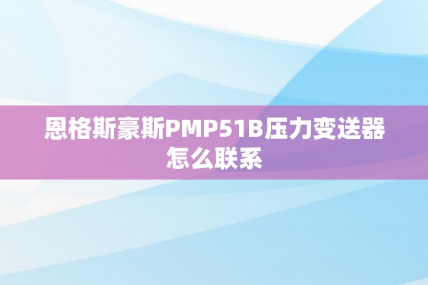 恩格斯豪斯PMP51B压力变送器怎么联系