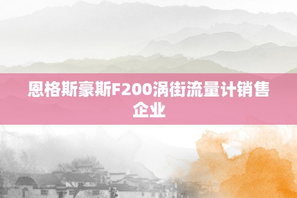 恩格斯豪斯F200涡街流量计销售企业