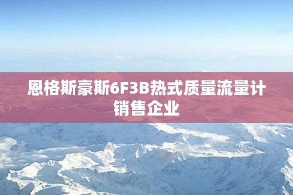 恩格斯豪斯6F3B热式质量流量计销售企业