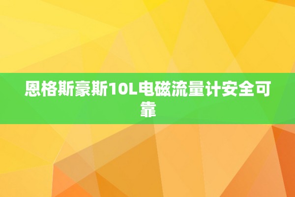 恩格斯豪斯10L电磁流量计安全可靠