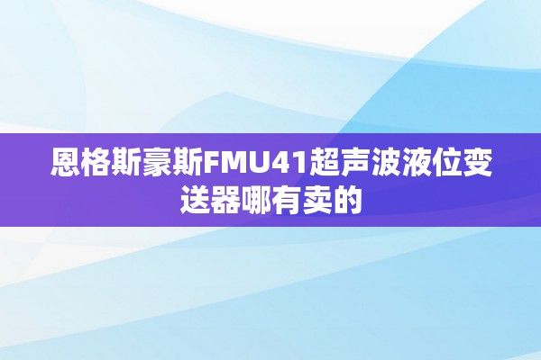 恩格斯豪斯FMU41超声波液位变送器哪有卖的