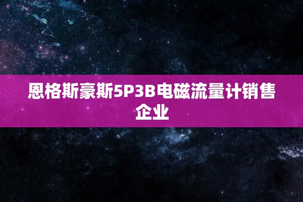 恩格斯豪斯5P3B电磁流量计销售企业