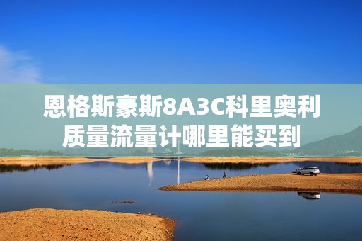 恩格斯豪斯8A3C科里奥利质量流量计哪里能买到