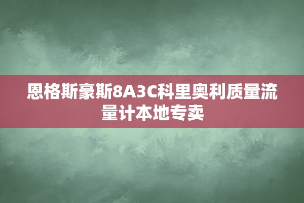 恩格斯豪斯8A3C科里奥利质量流量计本地专卖