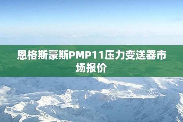 恩格斯豪斯PMP11压力变送器市场报价