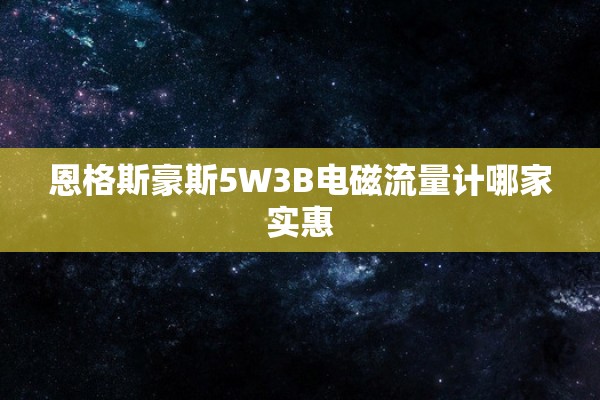 恩格斯豪斯5W3B电磁流量计哪家实惠