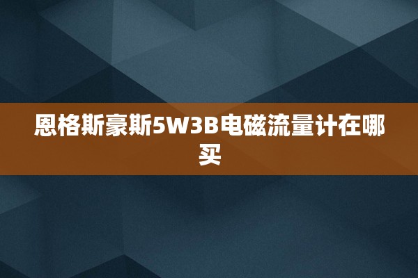 恩格斯豪斯5W3B电磁流量计在哪买