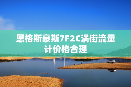 恩格斯豪斯7F2C涡街流量计价格合理