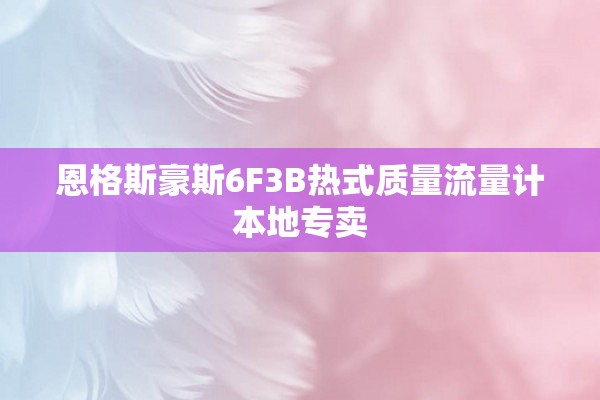 恩格斯豪斯6F3B热式质量流量计本地专卖
