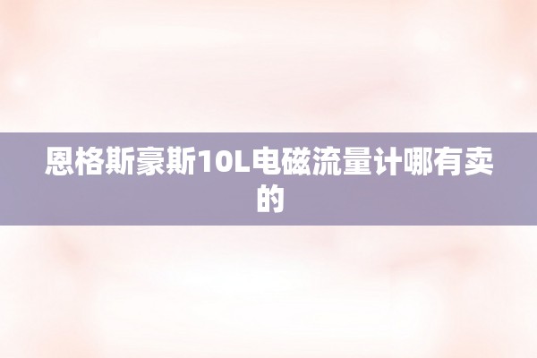 恩格斯豪斯10L电磁流量计哪有卖的