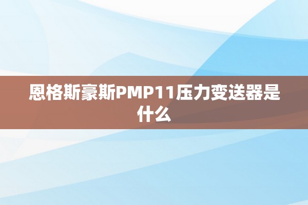 恩格斯豪斯PMP11压力变送器是什么