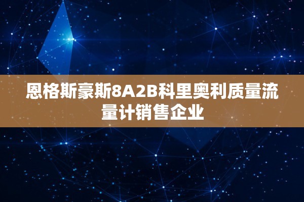 恩格斯豪斯8A2B科里奥利质量流量计销售企业