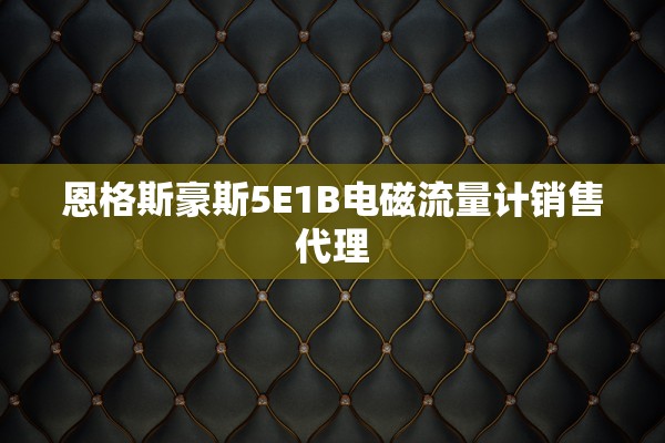 恩格斯豪斯5E1B电磁流量计销售代理