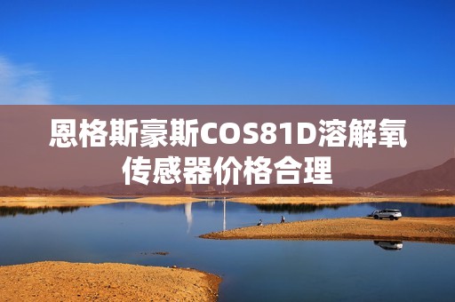 恩格斯豪斯COS81D溶解氧传感器价格合理