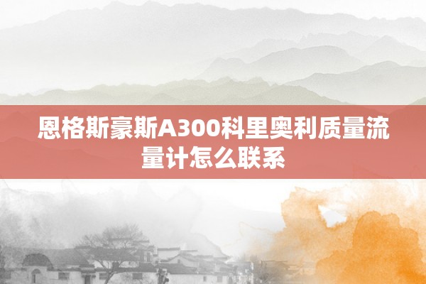 恩格斯豪斯A300科里奥利质量流量计怎么联系