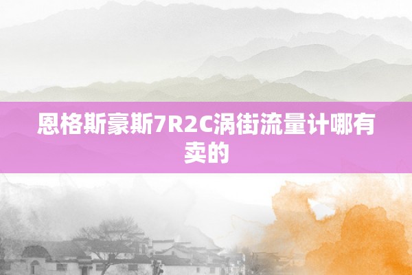 恩格斯豪斯7R2C涡街流量计哪有卖的