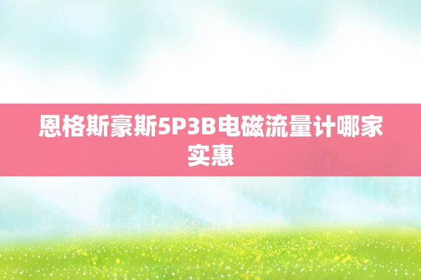 恩格斯豪斯5P3B电磁流量计哪家实惠