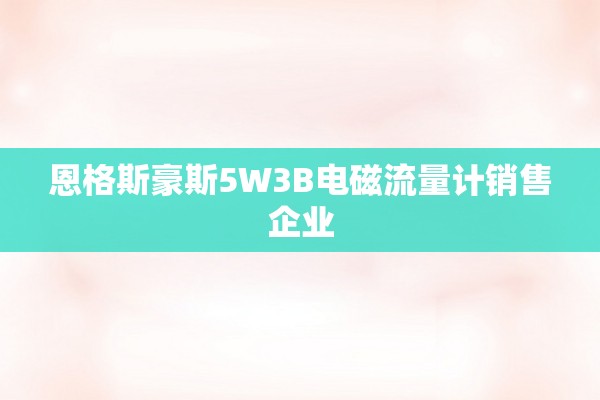 恩格斯豪斯5W3B电磁流量计销售企业